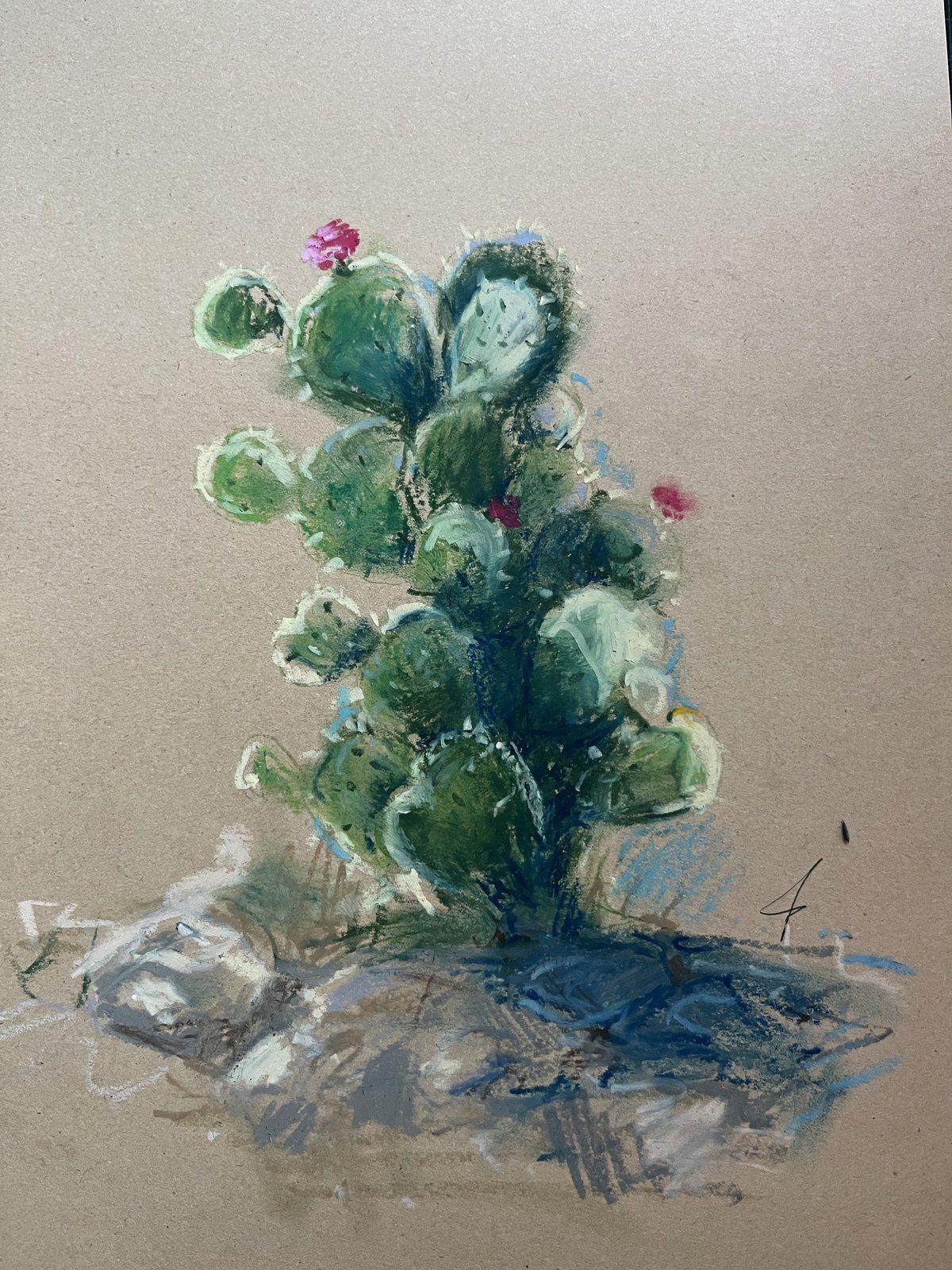 Oil pastel drawing of a flowering prickly pear cactus