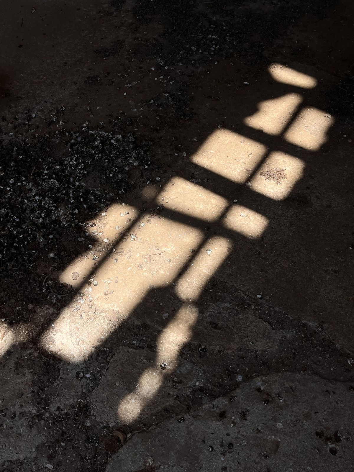 Dappled light from a barred window cast across a dark concrete floor