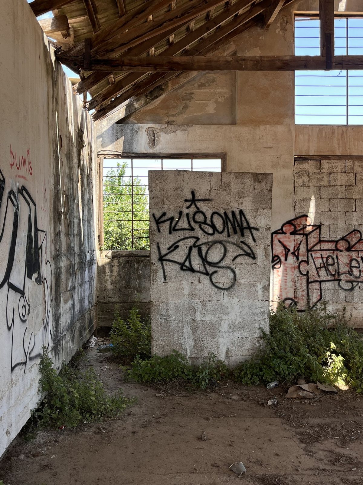 Graffiti-covered concrete-block walls inside the ruined structure, with a barred window to the orchard